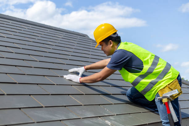 Emergency Roof Repair in Vamo, FL