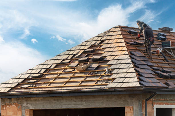 Best Roof Leak Repair  in Vamo, FL