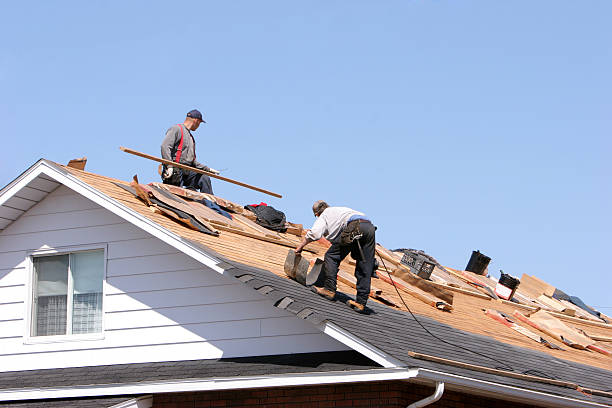  Vamo, FL Roofing services Pros